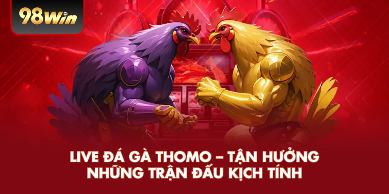 Live Đá Gà Thomo – Tận Hưởng Những Trận Đấu Kịch Tính